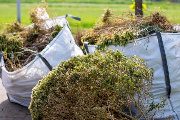 Best Commercial Junk Removal  in Lavonia, GA