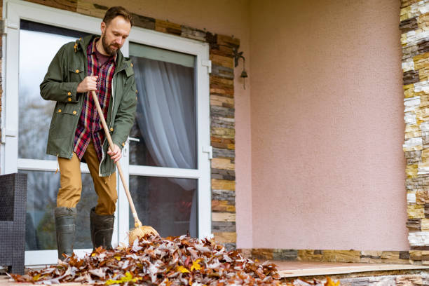 Best Electronics Removal Services  in Lavonia, GA