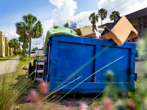 Best Attic Cleanout Services  in Lavonia, GA